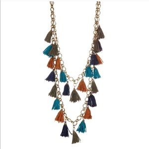 Multicolored Tassel Necklace